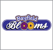 Bayfield Blooms Logo